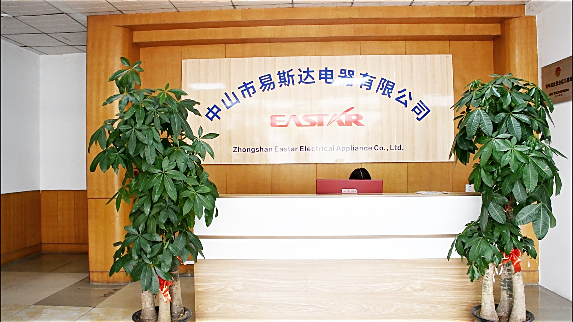 About Us/Company Environment